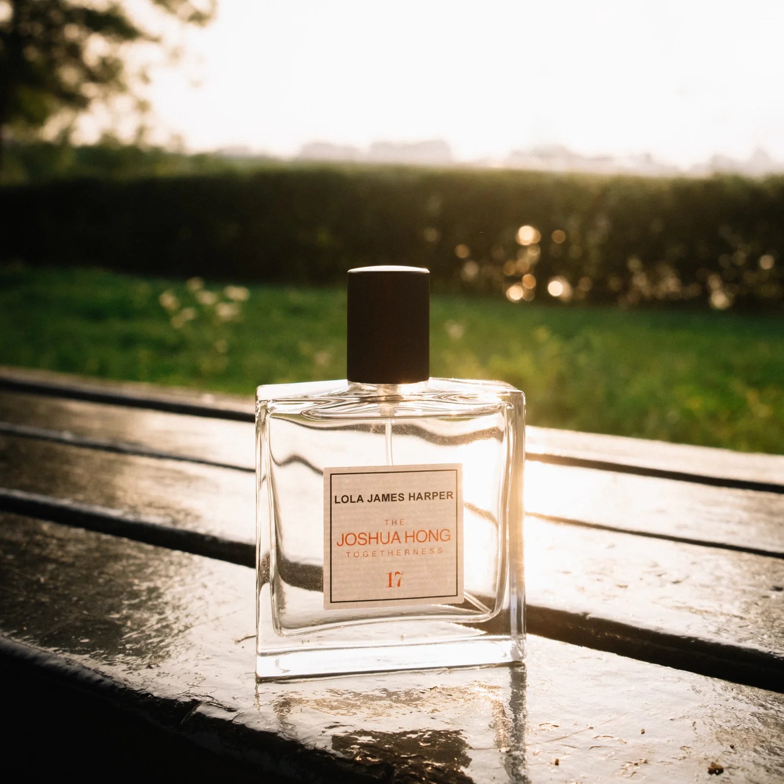 17 The Joshua Hong LIMITED EDITION - 淡香精 50ml
